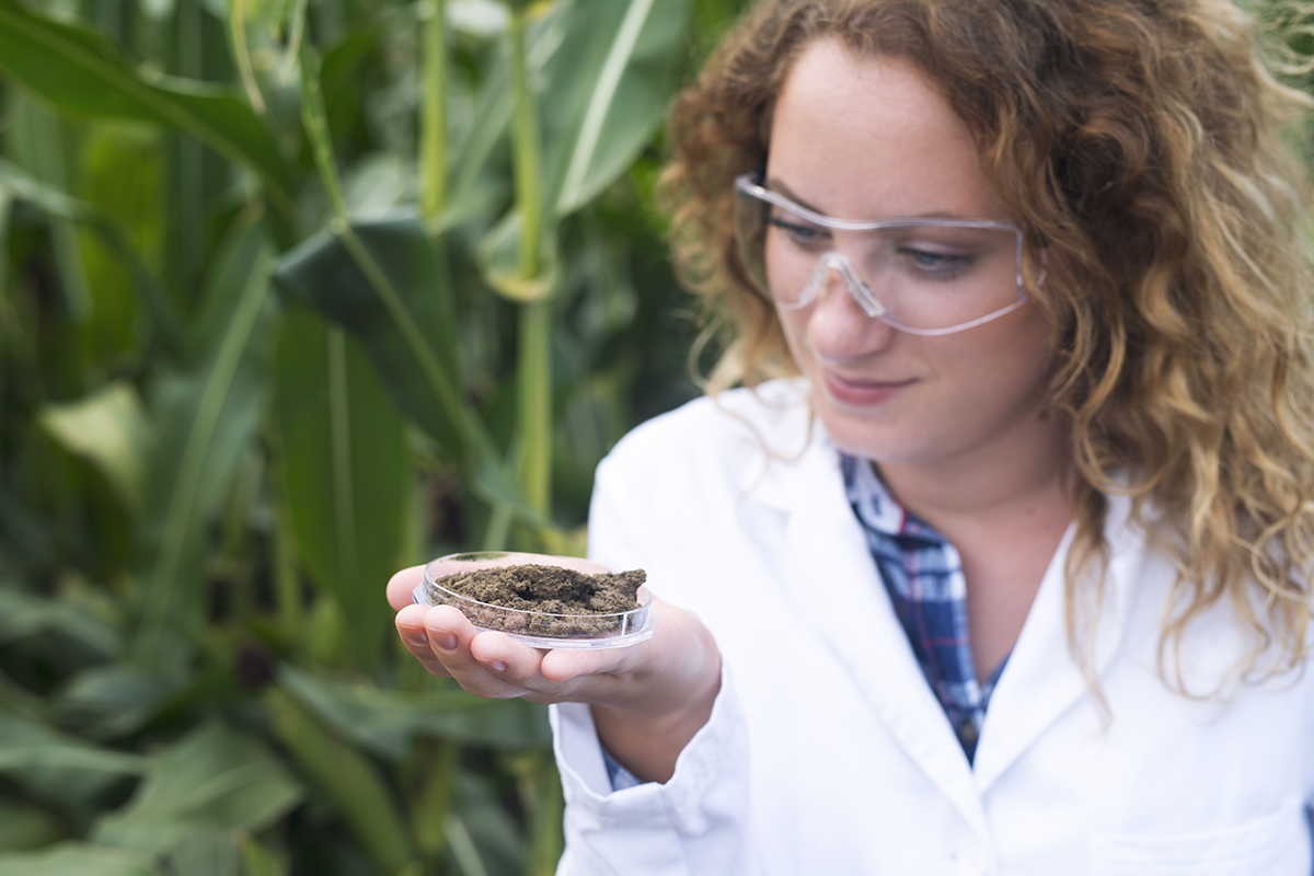 Female agronomist specialist examining soil sample for fertility potential.